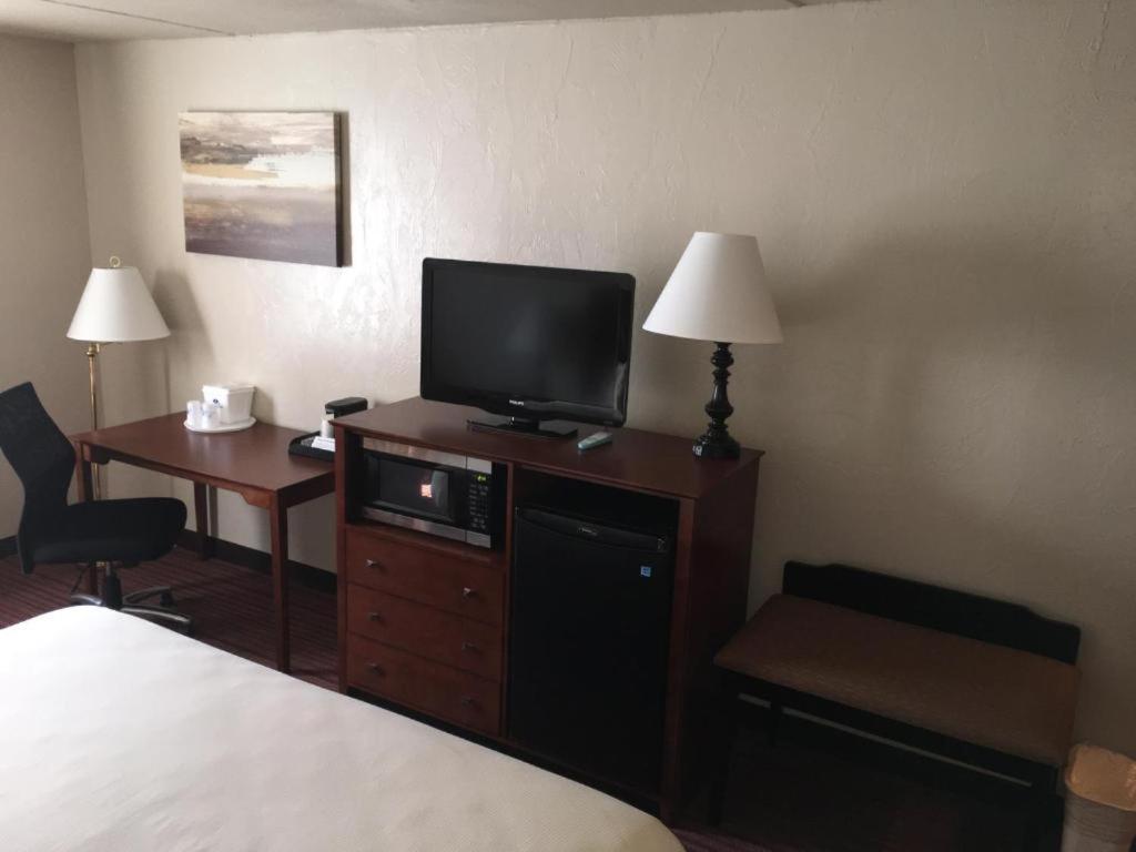 Single Room Disability Access,1706116465:JPEG